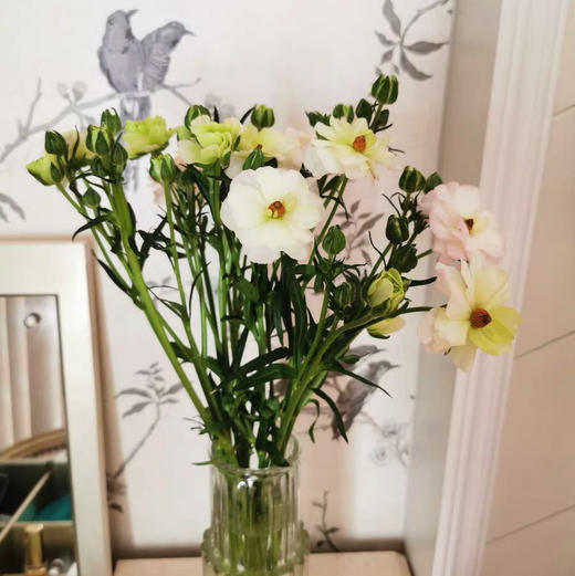 配花-蝴蝶洋牡丹-香槟色-5支 商品图5