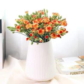 云南DT多头康乃馨-槡巴-18-20枝