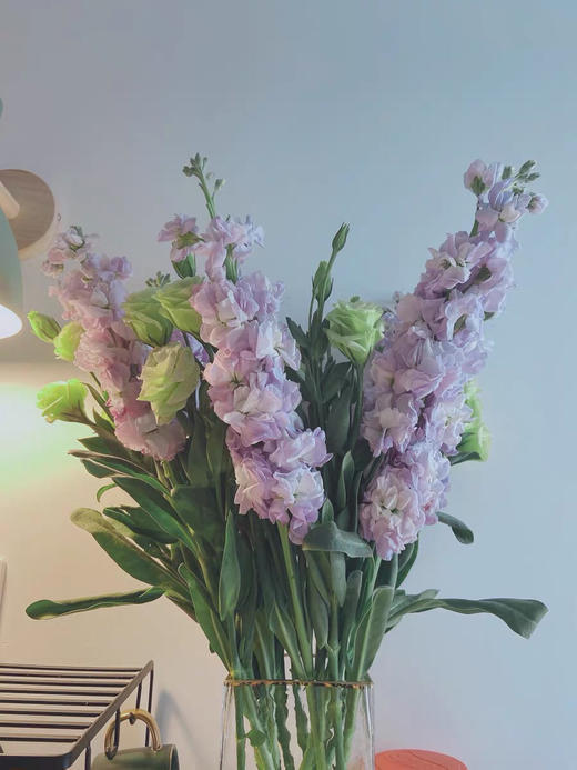 配花.紫罗兰-紫色 商品图4