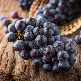 【云南·昆明】云南夏黑无籽葡萄 多汁无核 清甜爽脆 包邮