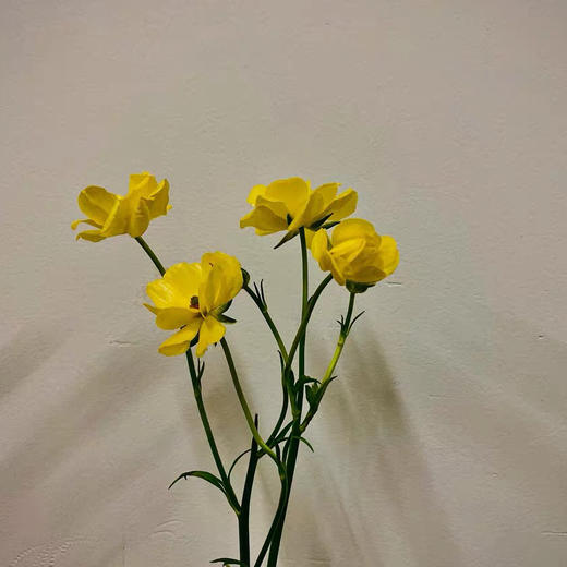 配花-蝴蝶洋牡丹-黄色-5支 商品图4