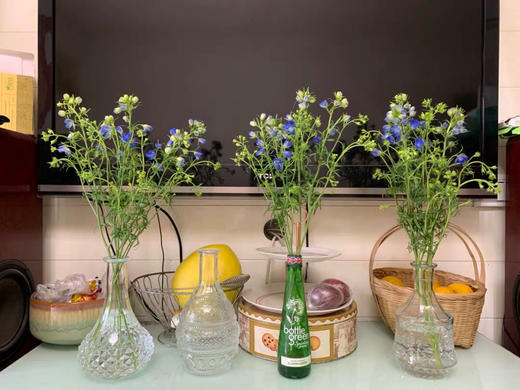 配花-本地小飞燕-蓝色 商品图3