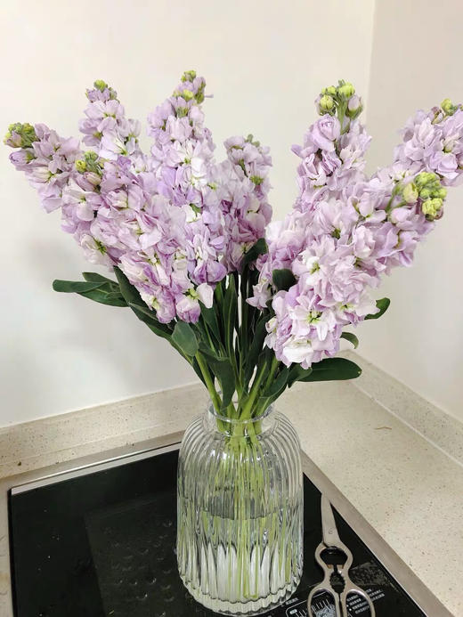 配花.紫罗兰-紫色 商品图2