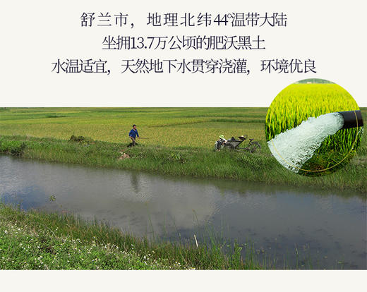 天野园稻花香大米（2袋减8元） 商品图9