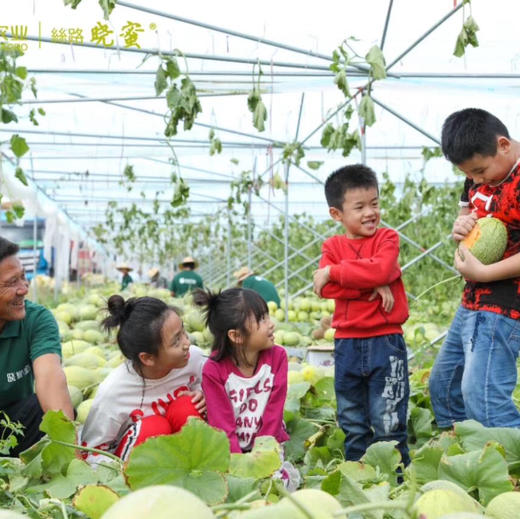 胜杰蜜瓜🍈甜如蜜--甘甜醇厚甜度可达17°+；汁水多--果汁充盈 脆爽可口 ；香味浓--甜香袭人 果香奶香 交融这就是嘎嘎脆甜👑丝路晓蜜®🍈 商品图5