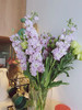 配花.紫罗兰-紫色 商品缩略图1
