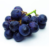 【云南·昆明】云南夏黑无籽葡萄 多汁无核 清甜爽脆 包邮 商品缩略图3