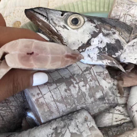 舟山雷达网带鱼顺丰快递运费包邮 商品图8