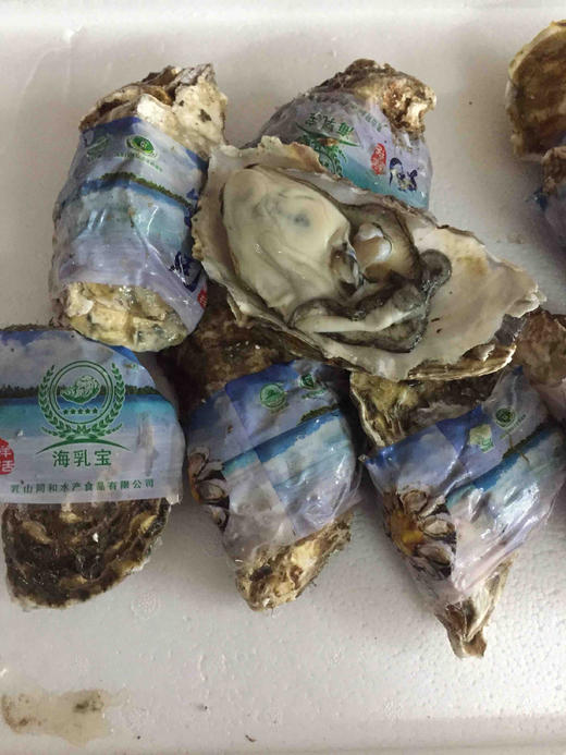鲜活生蚝约200g左右   10个起订 商品图1