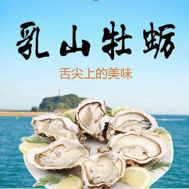 【社区团购】正宗乳山牡蛎25元/5斤 商品图0