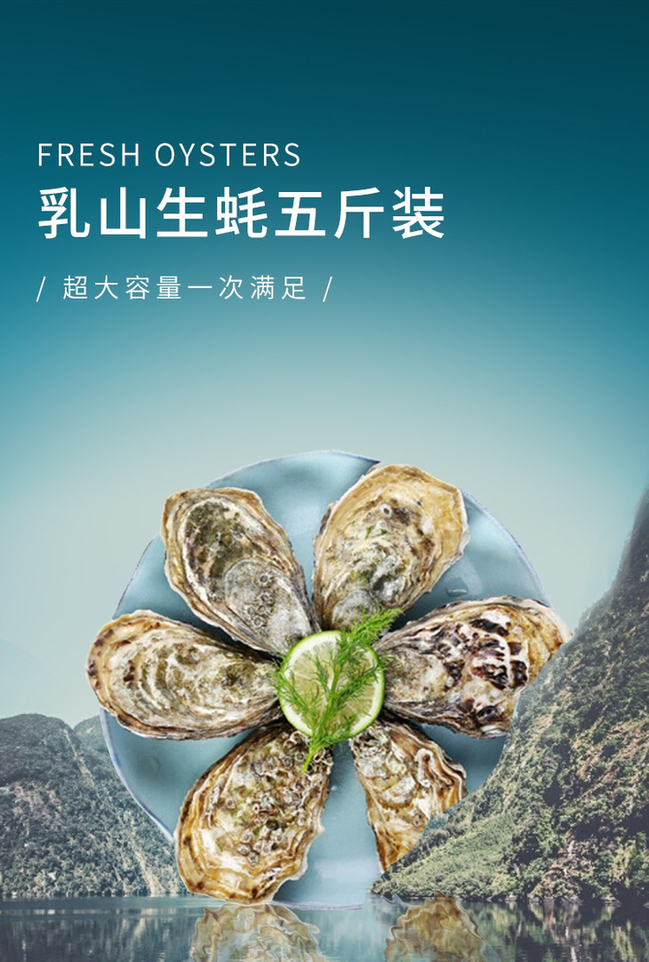 顺丰包邮野生乳山生蚝海洋里的牛奶5斤包邮新鲜直发海蛎子牡蛎