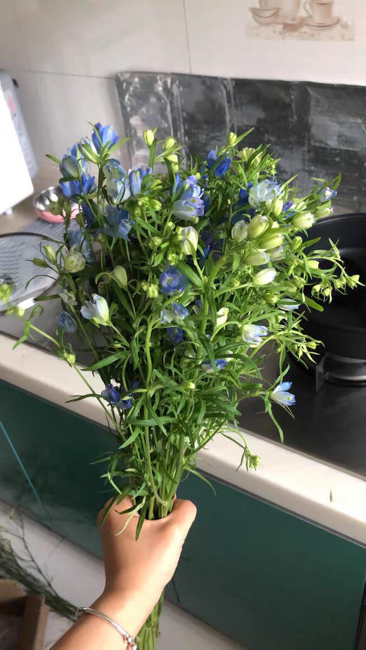 配花-本地小飞燕-蓝色 商品图2
