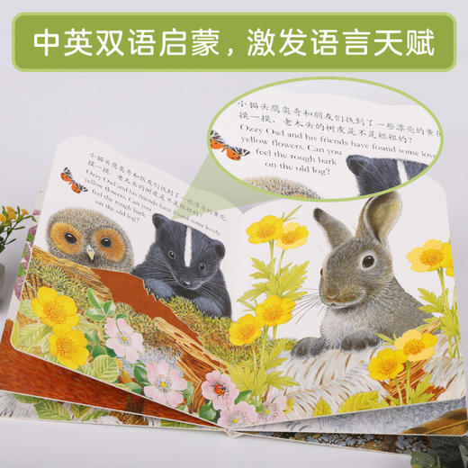 亮丽精美触摸书（小熊波比/小兔比利） 0+ 商品图8