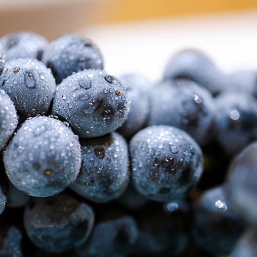 “大蜜蜜夏黑”葡萄！硬脆Q弹爆甜汁，像果冻一样吸着吃！ 商品图3