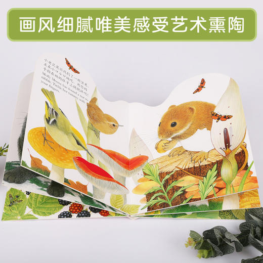 亮丽精美触摸书  两册（小猫头鹰奥奇/小水獭奥斯卡） 商品图8