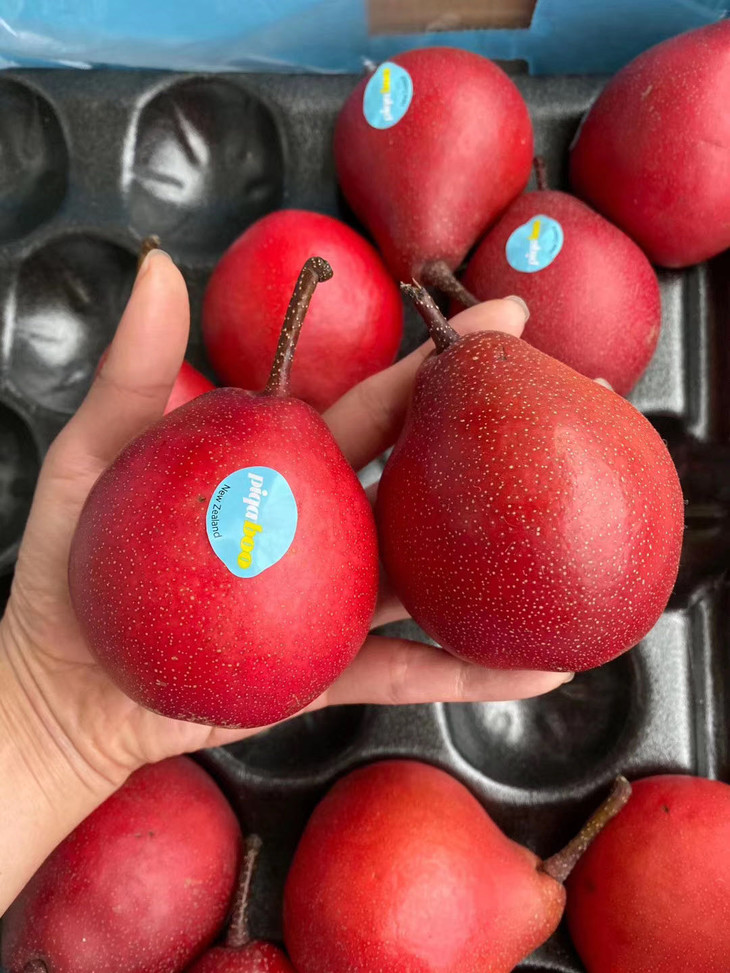 红啤梨也是梨中的贵族营养丰富,每个都是我们精