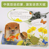 亮丽精美触摸书  两册（小猫头鹰奥奇/小水獭奥斯卡） 商品缩略图11
