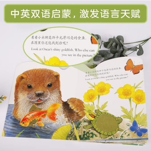 亮丽精美触摸书  两册（小猫头鹰奥奇/小水獭奥斯卡） 商品图11