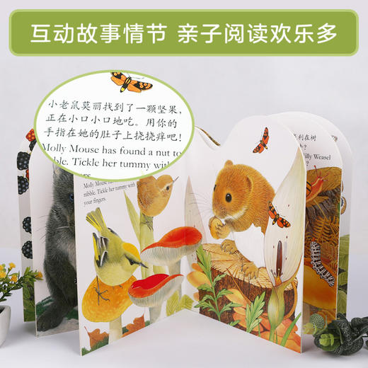 亮丽精美触摸书  两册（小猫头鹰奥奇/小水獭奥斯卡） 商品图5