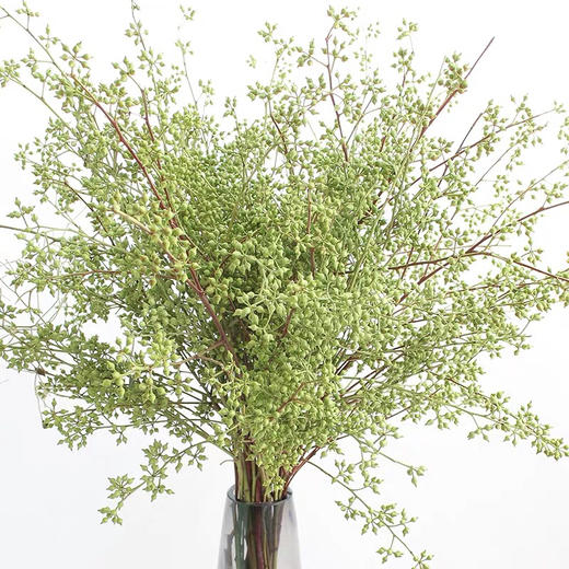 配叶-小米果 商品图3