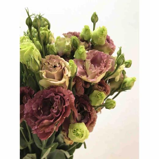 配花-云南（洋桔梗）龙胆-茶色-0.8kg/扎 商品图2