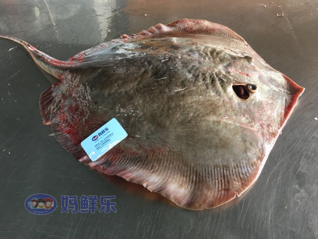 一条2-10斤,杀好切块,一份380-400克