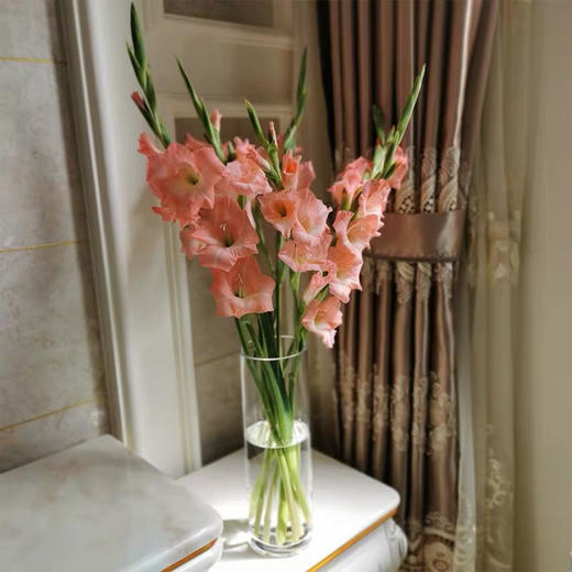 配花.剑兰粉色-10枝/扎 商品图3