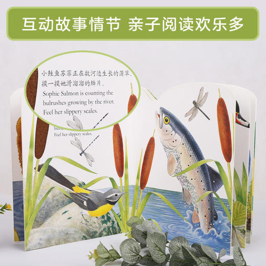 亮丽精美触摸书  两册（小猫头鹰奥奇/小水獭奥斯卡） 商品图10