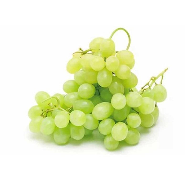 香印青提葡萄 清甜花香 5-6斤/箱