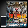 《点点看大百科》系列 ：呀！动物 少儿科普 商品缩略图4