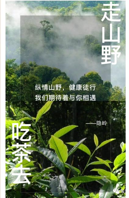 积分换购：“走山野，吃茶去”隐岭原生定制旅行 商品图0