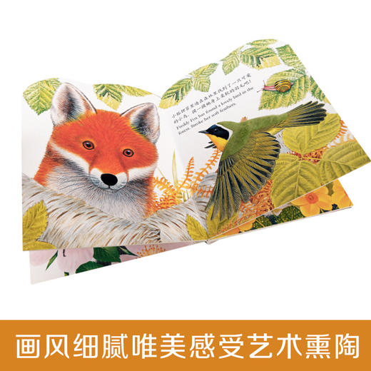 亮丽精美触摸书（小熊波比/小兔比利） 0+ 商品图2