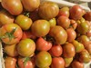 海阳水果西红柿 自然熟 适合生吃，排单发货中，不接急单 商品缩略图4