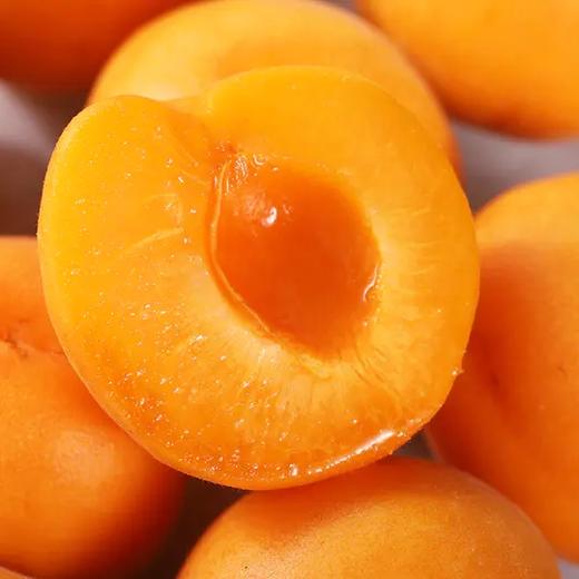 陕西61金太阳大黄杏果肉细腻酸甜多汁肉厚皮薄个个饱满新鲜现摘果园