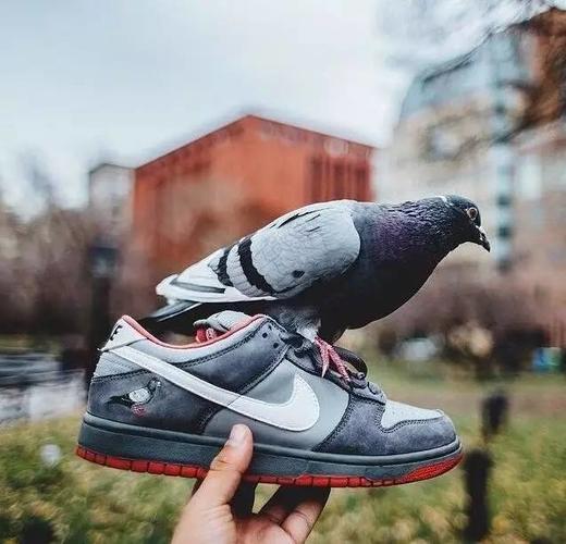 Black Pigeon X Nike sb Dunk  low Trd QS 黑鸽子 白鸽子 紫鸽子 和平鸽 经典复古低帮百搭休闲运 商品图0