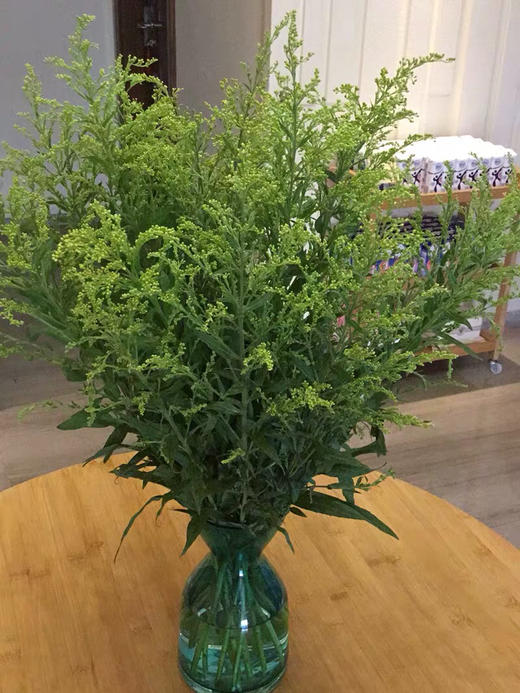 配花-云南黄莺40枝 商品图1