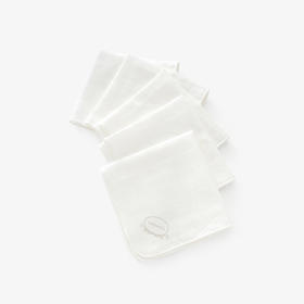 英氏婴儿新生儿擦口水巾纱布洗脸巾男女宝宝手帕5件装187A5318