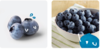 【嘉兴市包邮】怡颗莓 当季云南蓝莓4盒装 约125g/盒 新鲜水果 商品缩略图4