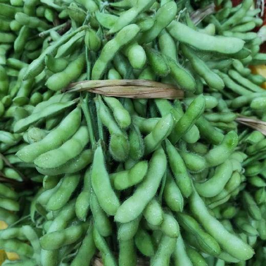 215新鲜本地黄豆夹约1.5斤一份,农场直供,新鲜