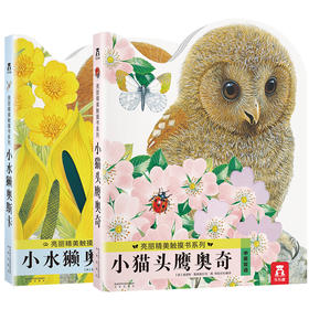 亮丽精美触摸书  两册（小猫头鹰奥奇/小水獭奥斯卡）