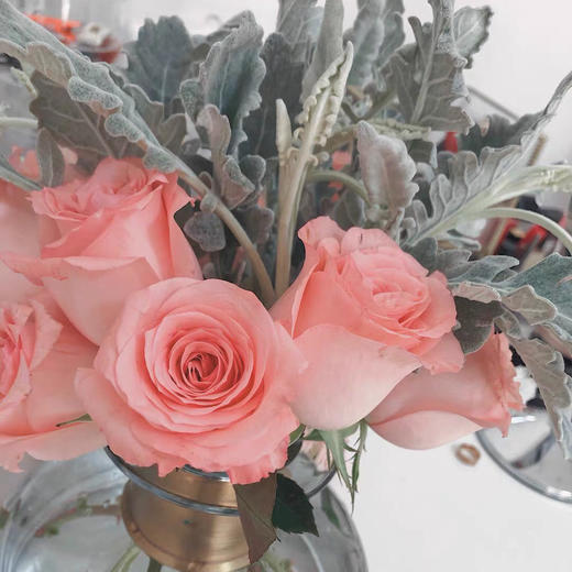 配花-银叶菊多枝 商品图1