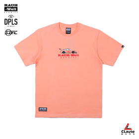 RWB主题 洛杉矶潮牌DPLS 桃色字母印花T恤