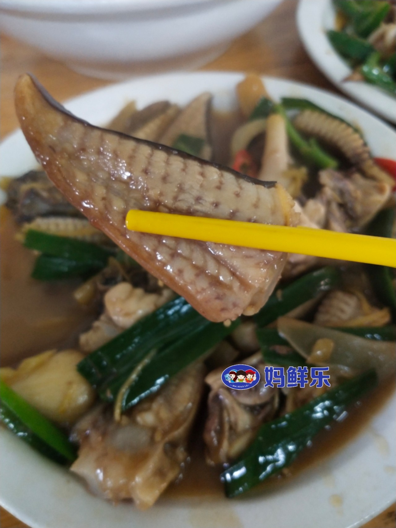 【鳐鱼/魔鬼鱼】野生海捕,肉质细嫩营养丰富!