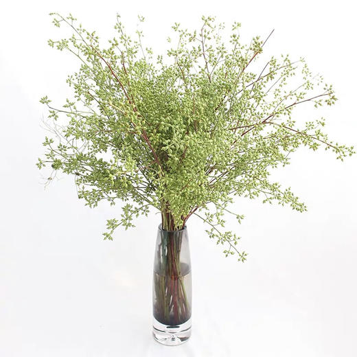 配叶-小米果 商品图1