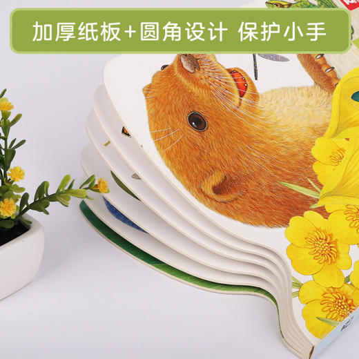 亮丽精美触摸书  两册（小猫头鹰奥奇/小水獭奥斯卡） 商品图7