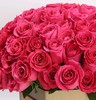 【昆明玫瑰】弗洛伊德，20支/扎，A级 商品缩略图8