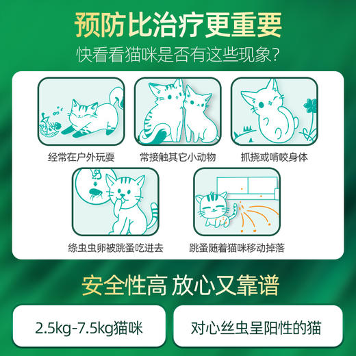【砍价超值购】博来恩猫咪体内外一体驱虫药滴剂三支装 商品图3