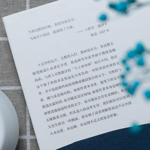 《星辰文库》 | 鲁迅、沈从文、汪曾祺、戴望舒、海子，精装有声精选集 商品图10