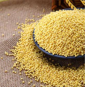 【恩施】DY大黄米350g*3包 商品图2