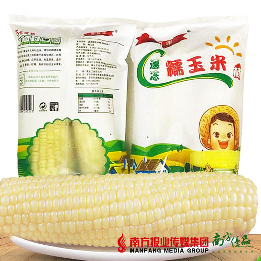 【珠三角包邮】速冻熟糯玉米 480g/包  5包/箱 （7月3日到货） 商品图0